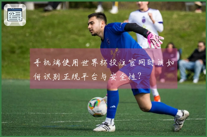 手机端使用世界杯投注官网时该如何识别正规平台与安全性？