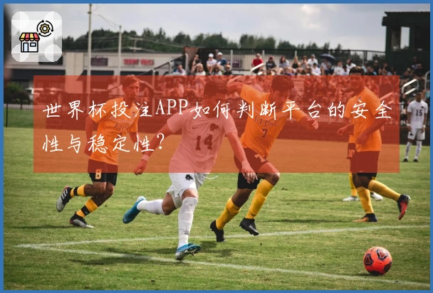 世界杯投注APP如何判断平台的安全性与稳定性？