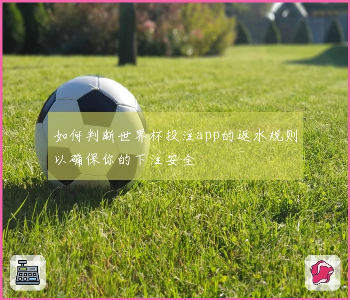 如何判断世界杯投注app的返水规则以确保你的下注安全