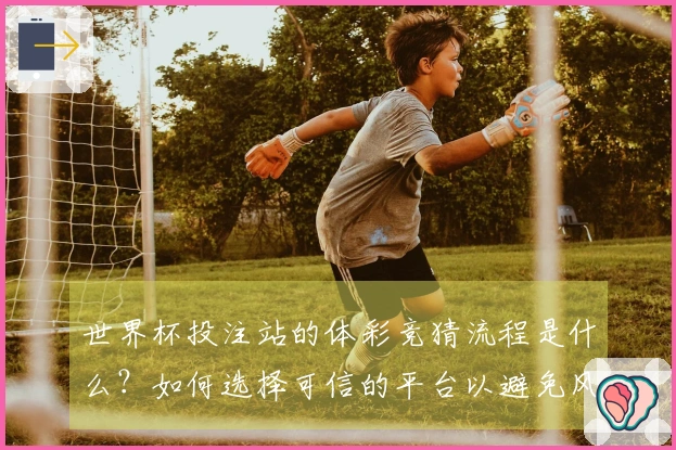 世界杯投注站的体彩竞猜流程是什么？如何选择可信的平台以避免风险？
