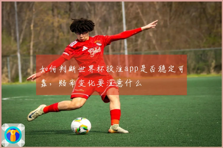如何判断世界杯投注app是否稳定可靠，赔率变化要注意什么
