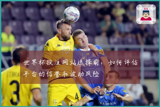 世界杯投注网站选择前，如何评估平台的信誉和波动风险