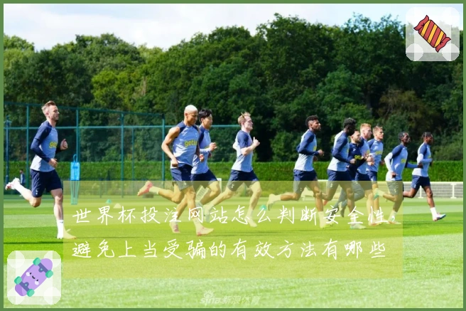 世界杯投注网站怎么判断安全性,避免上当受骗的有效方法有哪些