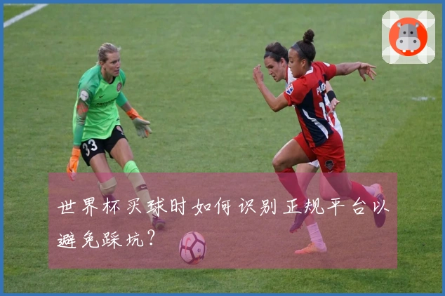 世界杯买球时如何识别正规平台以避免踩坑?
