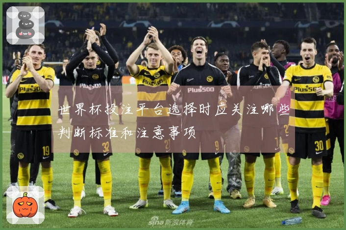 世界杯投注平台选择时应关注哪些判断标准和注意事项