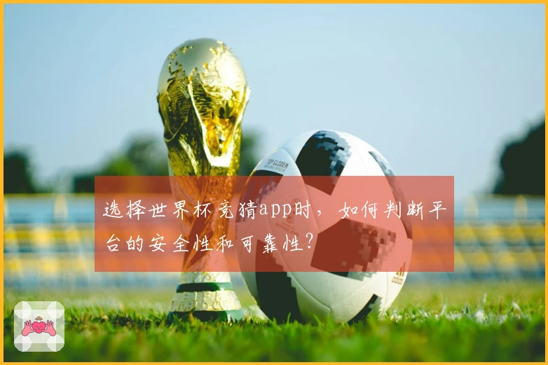 选择世界杯竞猜app时，如何判断平台的安全性和可靠性？