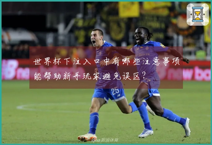 世界杯下注入口中有哪些注意事项能帮助新手玩家避免误区？
