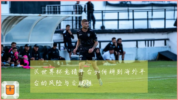 买世界杯竞猜平台如何辨别海外平台的风险与合规性
