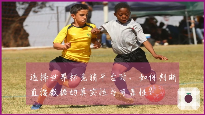 选择世界杯竞猜平台时，如何判断直播数据的真实性与可靠性？