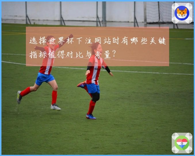 选择世界杯下注网站时有哪些关键指标值得对比与考量？