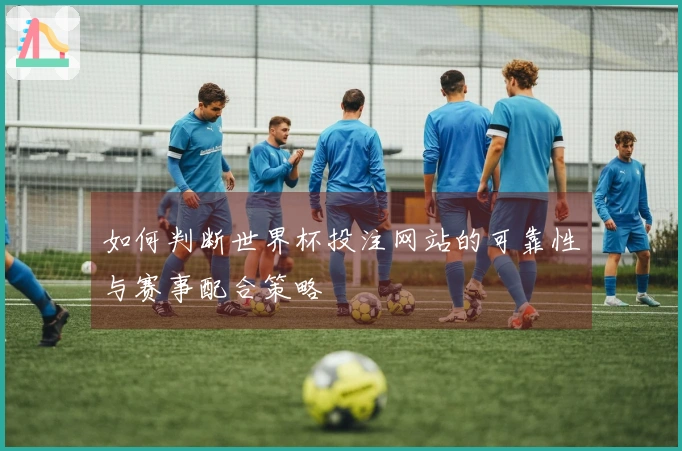 如何判断世界杯投注网站的可靠性与赛事配合策略