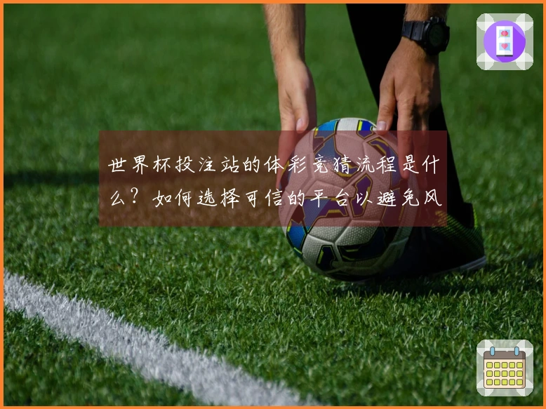 世界杯投注站的体彩竞猜流程是什么？如何选择可信的平台以避免风险？
