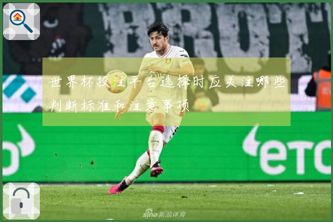 世界杯投注平台选择时应关注哪些判断标准和注意事项