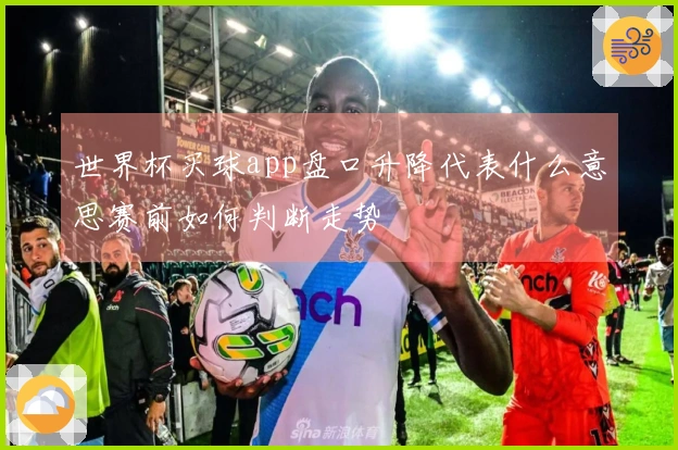 世界杯买球app盘口升降代表什么意思赛前如何判断走势