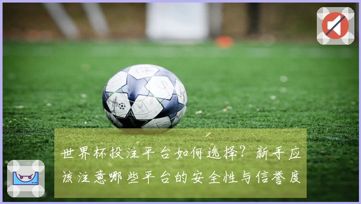 世界杯投注平台如何选择？新手应该注意哪些平台的安全性与信誉度
