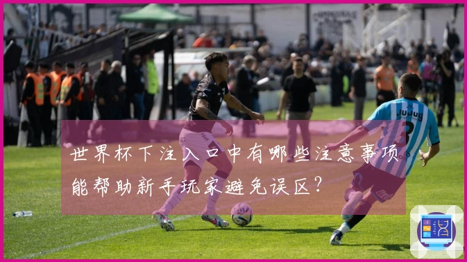 世界杯下注入口中有哪些注意事项能帮助新手玩家避免误区？