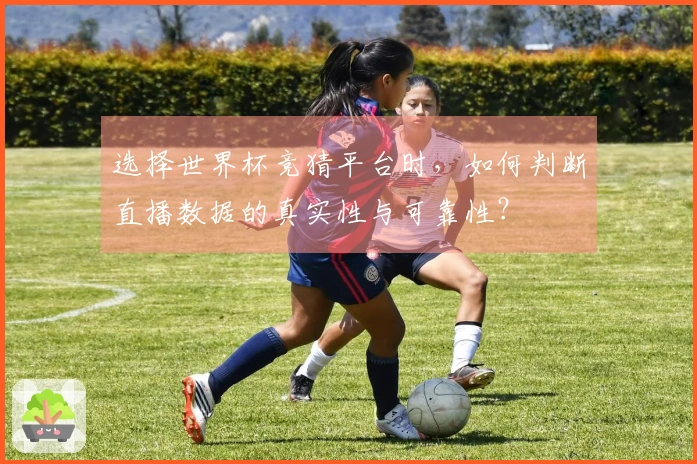 选择世界杯竞猜平台时，如何判断直播数据的真实性与可靠性？