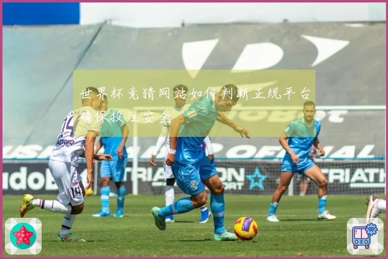 世界杯竞猜网站如何判断正规平台确保投注安全