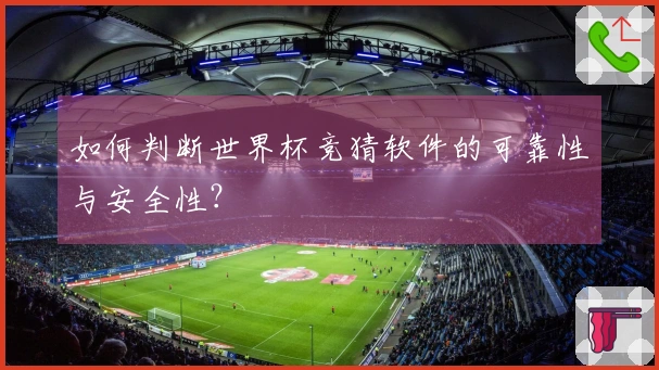 如何判断世界杯竞猜软件的可靠性与安全性?