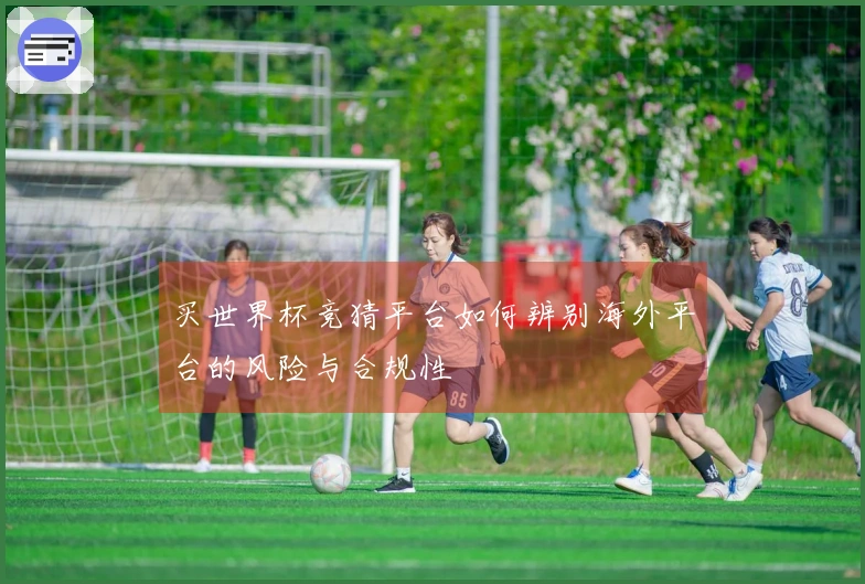 买世界杯竞猜平台如何辨别海外平台的风险与合规性