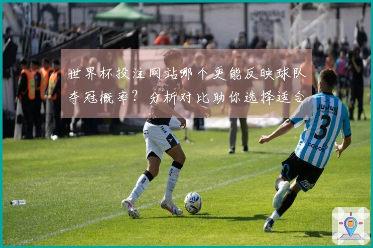 世界杯投注网站哪个更能反映球队夺冠概率？分析对比助你选择适合的下注平台