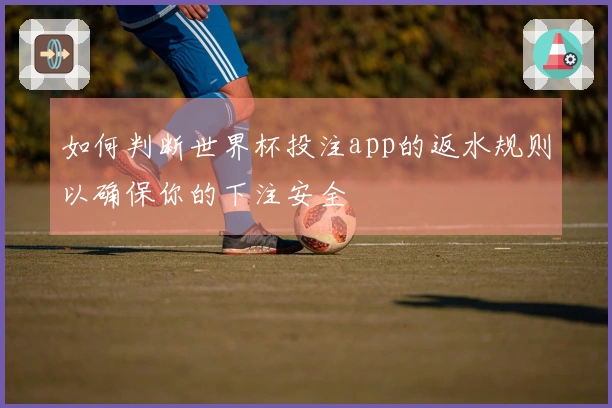 如何判断世界杯投注app的返水规则以确保你的下注安全