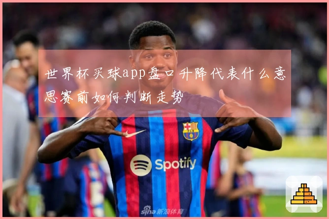 世界杯买球app盘口升降代表什么意思赛前如何判断走势