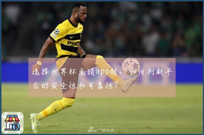 选择世界杯竞猜app时，如何判断平台的安全性和可靠性？