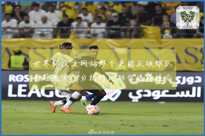 世界杯投注网站哪个更能反映球队夺冠概率？分析对比助你选择适合的下注平台