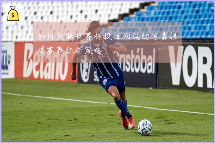 如何判断世界杯投注网站的可靠性与赛事配合策略