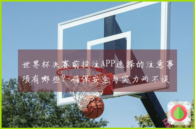 世界杯决赛前投注APP选择的注意事项有哪些？确保安全与实力两不误