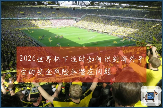 2026世界杯下注时如何识别海外平台的安全风险和潜在问题