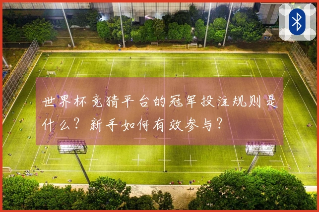 世界杯竞猜平台的冠军投注规则是什么？新手如何有效参与？