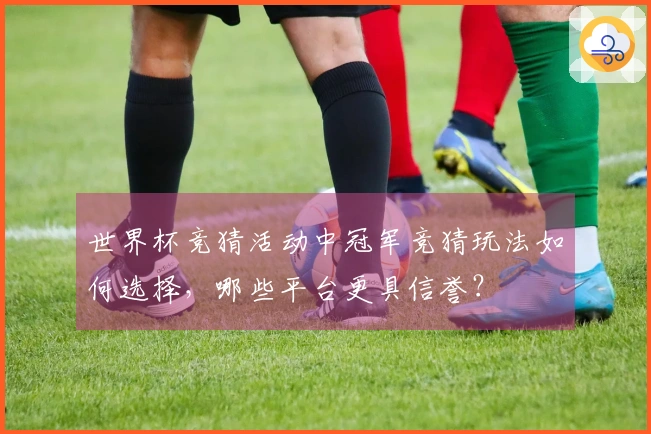 世界杯竞猜活动中冠军竞猜玩法如何选择，哪些平台更具信誉？