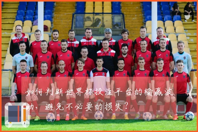如何判断世界杯投注平台的输赢波动，避免不必要的损失？